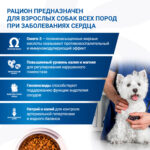 Изображение товара Диетический корм Monge VetSolution Dog Cardiac Кардиак для собак при заболеваниях сердца 2 кг