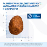 Изображение товара Диетический корм Monge VetSolution Dog Obesity Обесити диета для собак при избыточном весе 2 кг