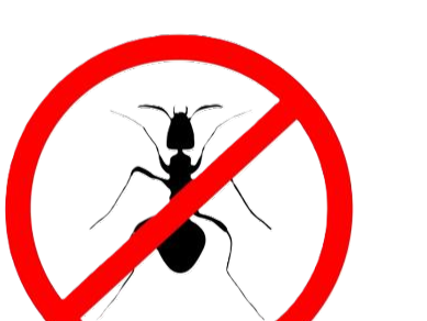 Противопаразитарные средства