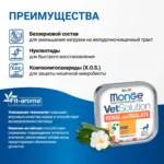 Изображение товара Диетический корм Monge VetSolution Cat Renal and Oxalate Ренал и Оксалат для кошек при ХПН и профилактике образования оксалатов 100 г