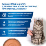 Изображение товара Диетический корм Monge VetSolution Cat Gastrointestinal гастро интестинал для кошек при заболеваниях ЖКТ 100 г