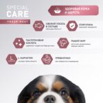 Изображение товара Сухой корм AWARD SPECIAL CARE Sensitive Skin&Coat для взрослых собак всех пород для здоровой кожи и шерсти со свежим лососем 2кг