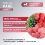 Изображение товара Сухой корм AWARD SPECIAL CARE Sensitive Digestion для взрослых собак всех пород с чувствительным пищеварением со свежим мясом ягненка  2кг