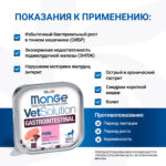 Изображение товара Диетический корм Monge VetSolution Cat Gastrointestinal гастро интестинал для кошек при заболеваниях ЖКТ 100 г