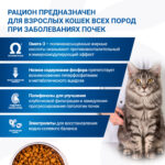 Изображение товара Диетический корм Monge VetSolution Cat Renal Ренал для кошек при ХПН 1,5 кг