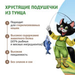 Изображение товара Лакомство Ферма кота Федора хрустящие подушечки для кошек и котят с паштетом из тунца 40 г