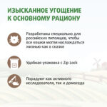 Изображение товара Лакомство Ферма кота Федора хрустящие подушечки для кошек и котят с паштетом из курицы 40 г
