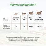 Изображение товара Лакомство Ферма кота Федора хрустящие подушечки для кошек и котят с паштетом из курицы 40 г