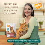 Изображение товара Лакомство Мнямс «Выведение шерсти» хрустящие подушечки для кошек с цыпленком 60 г.