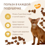 Изображение товара Лакомство Мнямс «Здоровая кожа и шерсть» хрустящие подушечки для кошек с птицей 60 г.