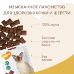 Изображение товара Лакомство Мнямс «Здоровая кожа и шерсть» хрустящие подушечки для кошек с птицей 60 г.