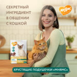 Изображение товара Лакомство Мнямс «Здоровая кожа и шерсть» хрустящие подушечки для кошек с птицей 60 г.