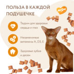Изображение товара Лакомство Мнямс «Здоровье и активность» хрустящие подушечки для кошек с курицей 60 г.