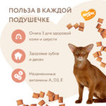 Изображение товара Лакомство Мнямс «Здоровье и красота» хрустящие подушечки для кошек с лососем 60 г.