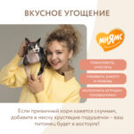 Изображение товара Лакомство Мнямс «Здоровье и красота» хрустящие подушечки для кошек с лососем 60 г.