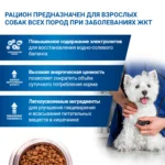 Изображение товара Диетический корм Monge VetSolution Dog Gastrointestinal Гастроинтестинал для собак при заболеваниях ЖКТ 2 кг