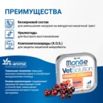 Изображение товара Диетический корм Monge VetSolution Cat Urinary Struvite Уринари Струвит для кошек при заболеваниях мочеполовой системы и струвитном течении МКБ 100г