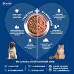 Изображение товара Сухой корм Monge Dog Speciality Line Monoprotein All Breeds Beef and Rice для взрослых собак всех пород, из говядины с рисом 2,5 кг