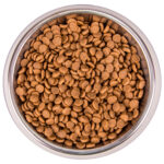 Изображение товара Сухой корм Monge Cat Speciality Line Monoprotein для котят и беременных кошек, из форели 400 г