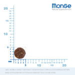 Изображение товара Сухой корм Monge Dog Speciality Line Extra Small для взрослых собак миниатюрных пород, из ягненка с рисом и картофелем 2,5 кг