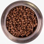 Изображение товара Сухой корм Monge Dog BWild LOW GRAIN Puppy & junior, для щенков, низкозерновой, из мяса оленя 2,5 кг