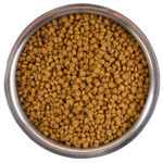 Изображение товара Сухой корм Monge Cat Speciality Line Monoprotein для котят и беременных кошек, из говядины 400 г