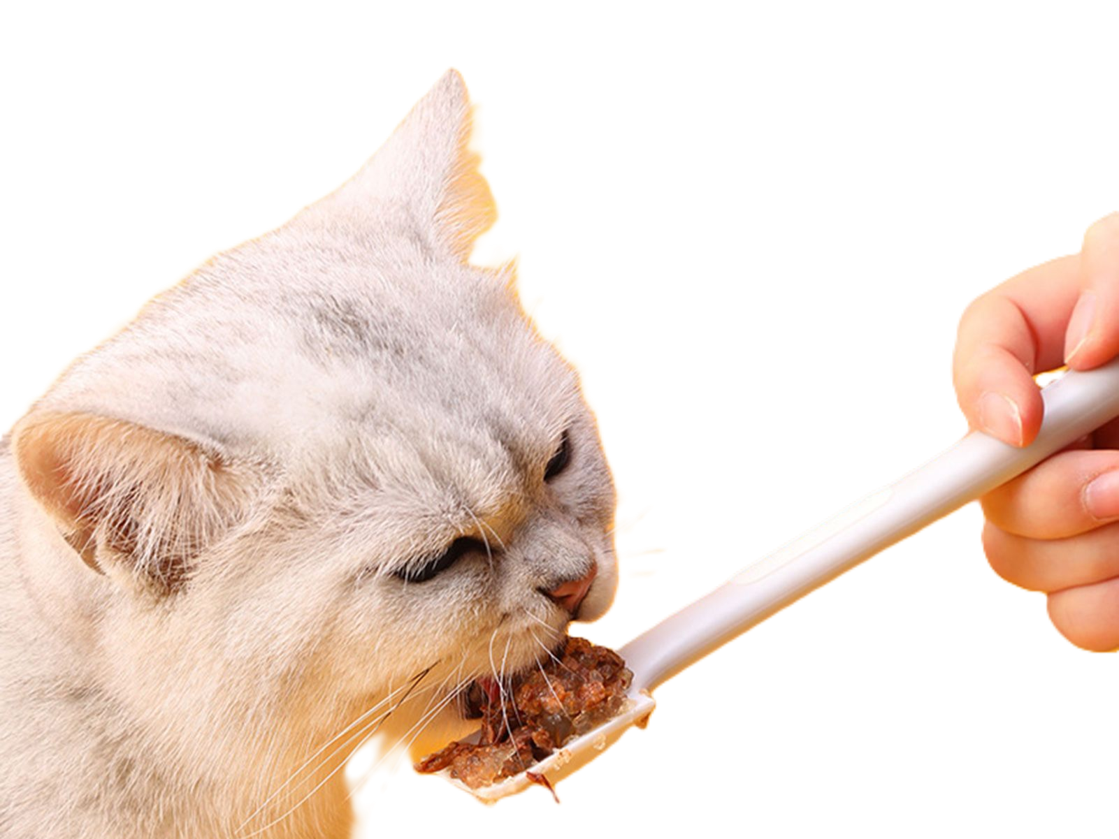 Корма и добавки
