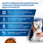 Изображение товара Диетический корм Monge VetSolution Dog Renal and Oxalate Ренал и Оксалат для собак при ХПН 2 кг
