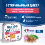 Изображение товара Диетический корм Monge VetSolution Cat Recovery Рекавери для кошек при восстановлении питания в период выздоровления 100 г