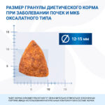 Изображение товара Диетический корм Monge VetSolution Dog Renal and Oxalate Ренал и Оксалат для собак при ХПН 2 кг