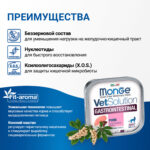 Изображение товара Диетический корм Monge VetSolution Cat Gastrointestinal гастро интестинал для кошек при заболеваниях ЖКТ 100 г