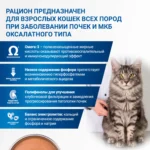 Изображение товара Диетический корм Monge VetSolution Cat Renal and Oxalate Ренал и Оксалат для кошек при ХПН и профилактике образования оксалатов 100 г