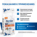 Изображение товара Диетический корм Monge VetSolution Dog Renal and Oxalate Ренал и Оксалат для собак при ХПН 2 кг