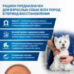 Изображение товара Диетический корм Monge VetSolution Dog Recovery Рекавери для собак при восстановлении питания в период выздоровления 150 г