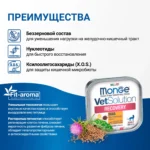 Изображение товара Диетический корм Monge VetSolution Cat Recovery Рекавери для кошек при восстановлении питания в период выздоровления 100 г