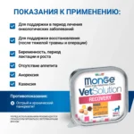 Изображение товара Диетический корм Monge VetSolution Cat Recovery Рекавери для кошек при восстановлении питания в период выздоровления 100 г