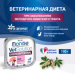 Изображение товара Диетический корм Monge VetSolution Cat Gastrointestinal гастро интестинал для кошек при заболеваниях ЖКТ 100 г