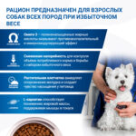 Изображение товара Диетический корм Monge VetSolution Dog Obesity Обесити диета для собак при избыточном весе 2 кг