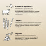 Изображение товара Сухой корм CRAFTIA NATURA для щенков миниатюрных и мелких пород из ягненка с перепелкой 640 гр