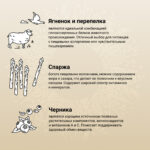 Изображение товара Сухой корм CRAFTIA NATURA для щенков средних и крупных пород из ягненка с перепелкой 640 гр