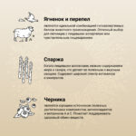 Изображение товара Сухой корм CRAFTIA NATURA для взрослых собак миниатюрных и мелких пород из ягненка с перепелкой 640 кг
