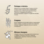 Изображение товара Сухой корм CRAFTIA NATURA для взрослых собак средних и крупных пород из лосося и сельди 640 гр