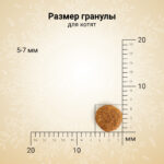 Изображение товара Сухой корм CRAFTIA HARMONA для котят из курицы и рыбы 320 г