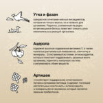 Изображение товара Сухой корм CRAFTIA NATURA для щенков миниатюрных и мелких пород из утки с фазаном 640 гр