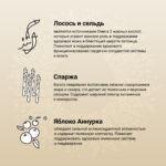 Изображение товара Сухой корм CRAFTIA NATURA для взрослых собак миниатюрных и мелких пород из лосося с сельдью 640 гр