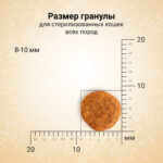 Изображение товара Сухой корм CRAFTIA HARMONA для стерилизованных кошек из ягненка с олениной 320 г