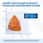 Изображение товара Диетический корм Monge VetSolution Dog Hepatic Гепатик для собак при заболеваниях печени 2 кг