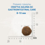Изображение товара Сухой корм CRAFTIA GALENA CAT GASTROINTESTINAL CARE Гастроинтестинал для кошек при заболеваниях ЖКТ 1,4 кг