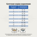 Изображение товара Сухой корм CRAFTIA GALENA CAT RENAL для кошек при почечной недостаточности 1,4 кг