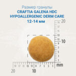 Изображение товара Сухой корм CRAFTIA GALENA DOG HYPOALLERGENIC DERM CARE Гипоаллердженик для собак при пищевой аллергии и заболеваниях кожи 2 кг